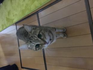 キャロちゃん
