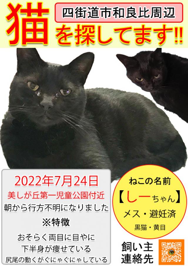 しーちゃん