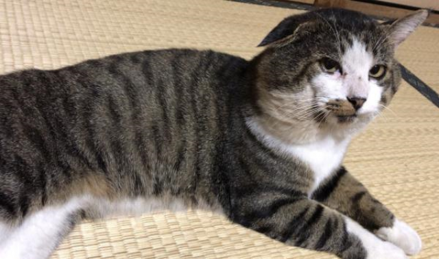 たろ