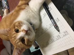 チャロ