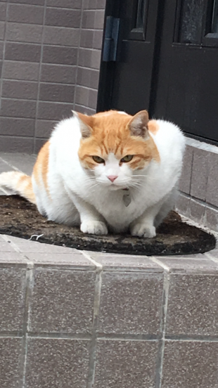 れもん