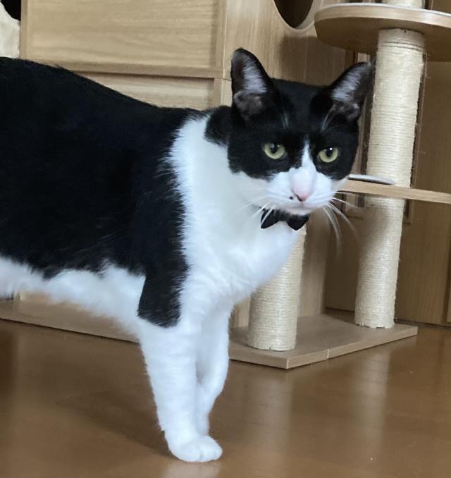かいじ