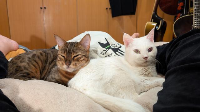 コラソン、ケレン