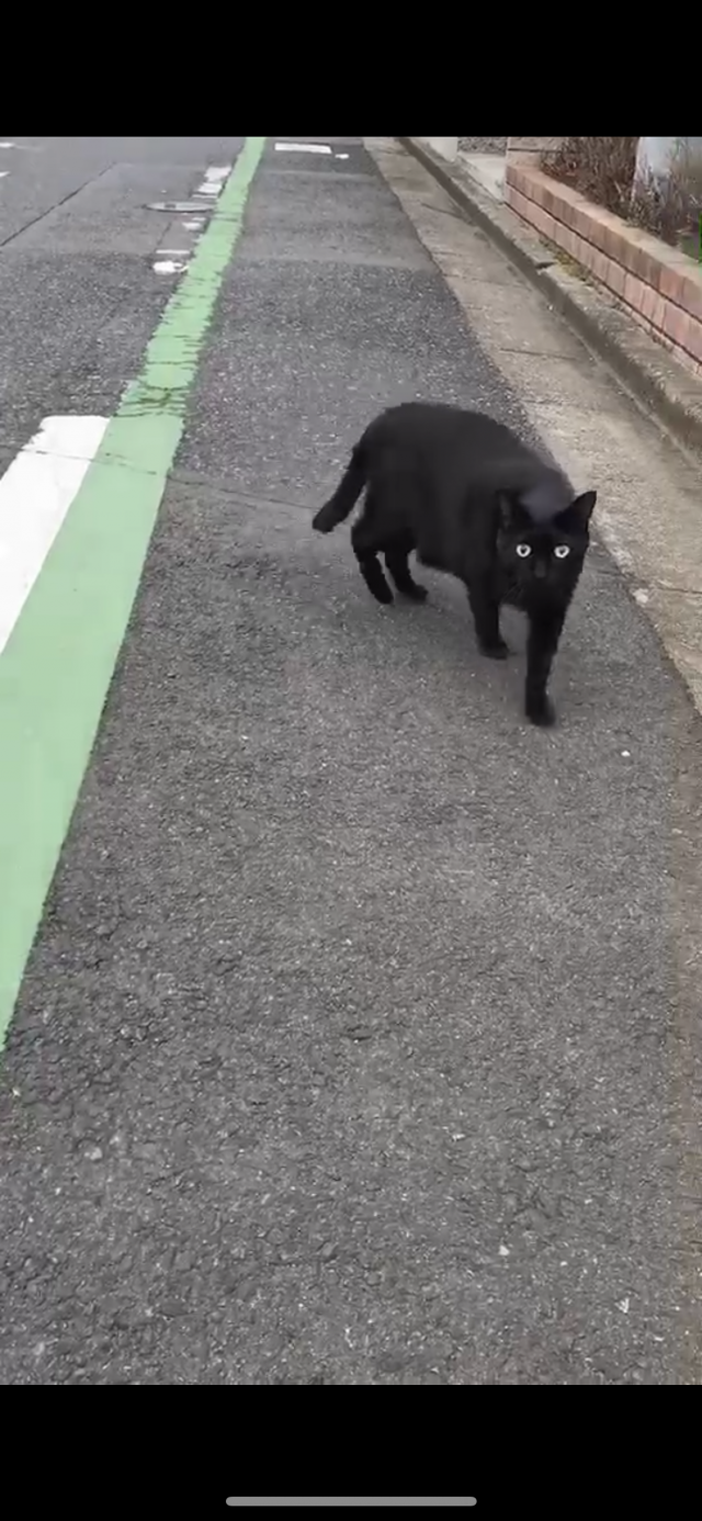 クゥ
