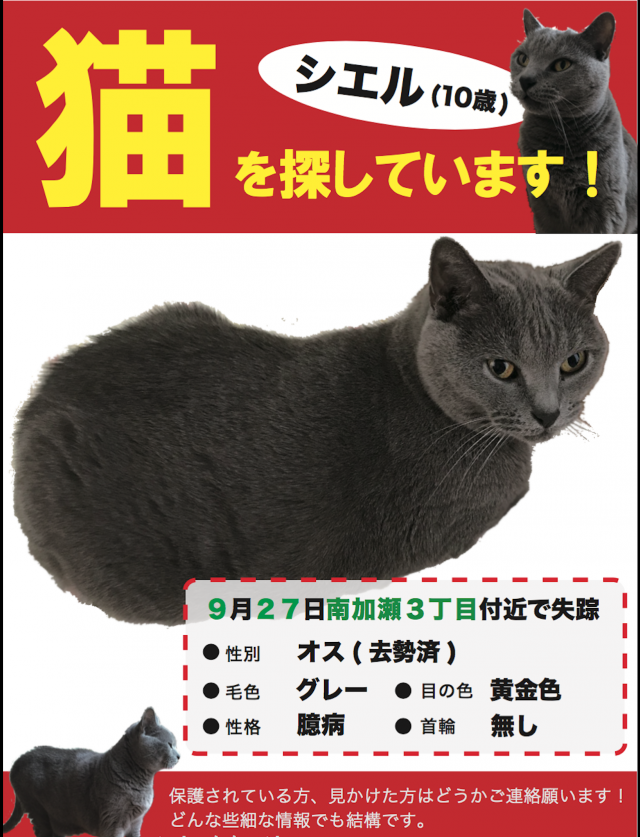 シエル