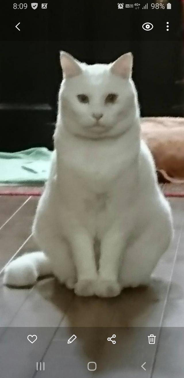 なな