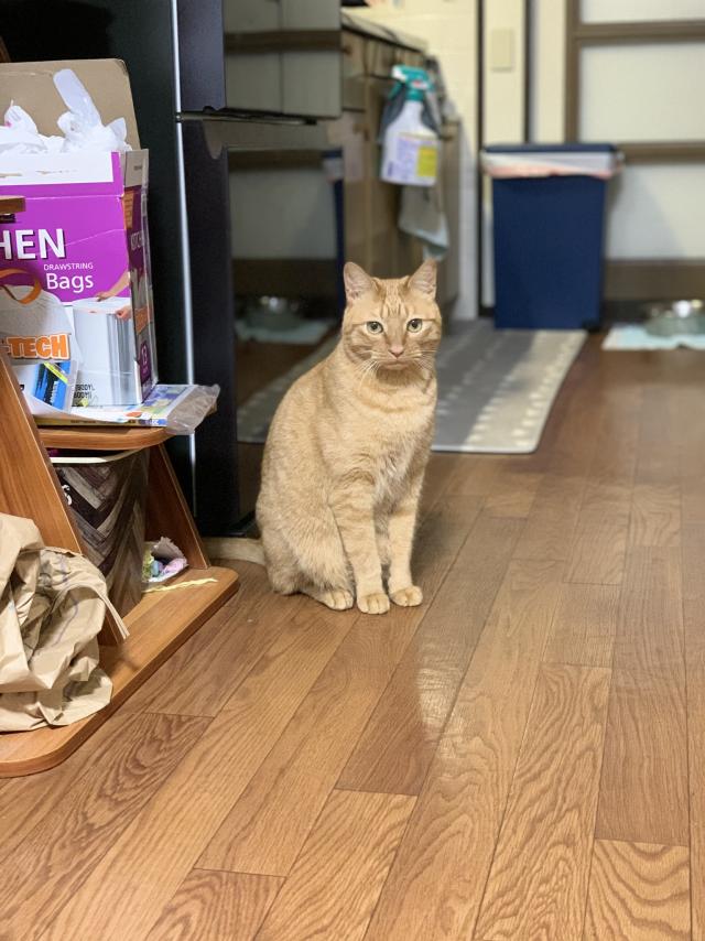 くう