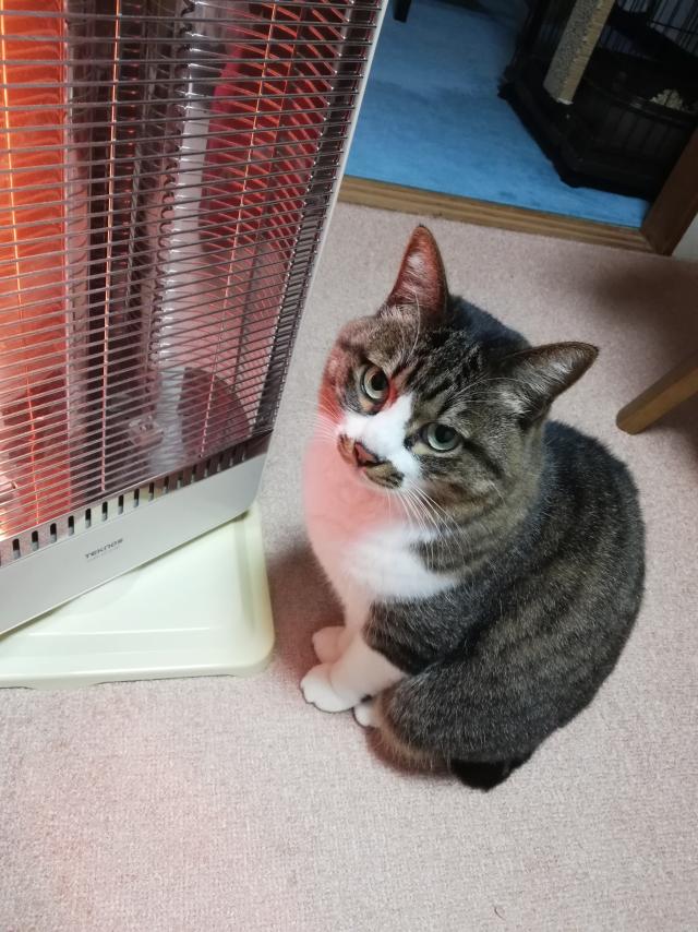 ナナ