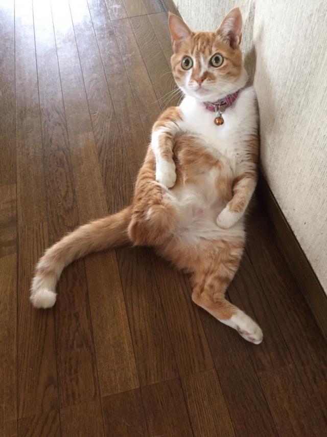 ルナ