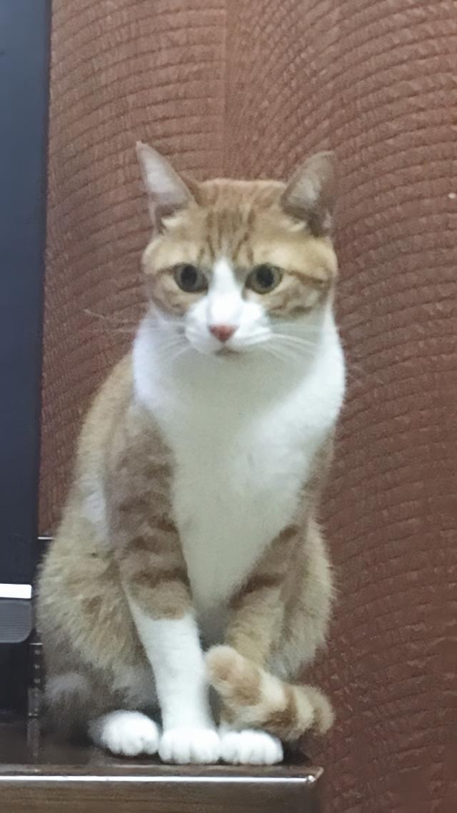 リー