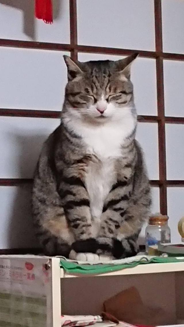 とらくん