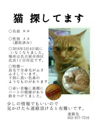 ルル
