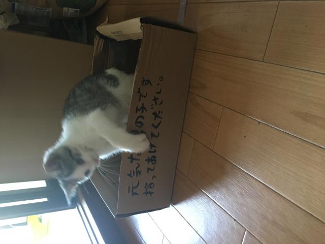 みつき