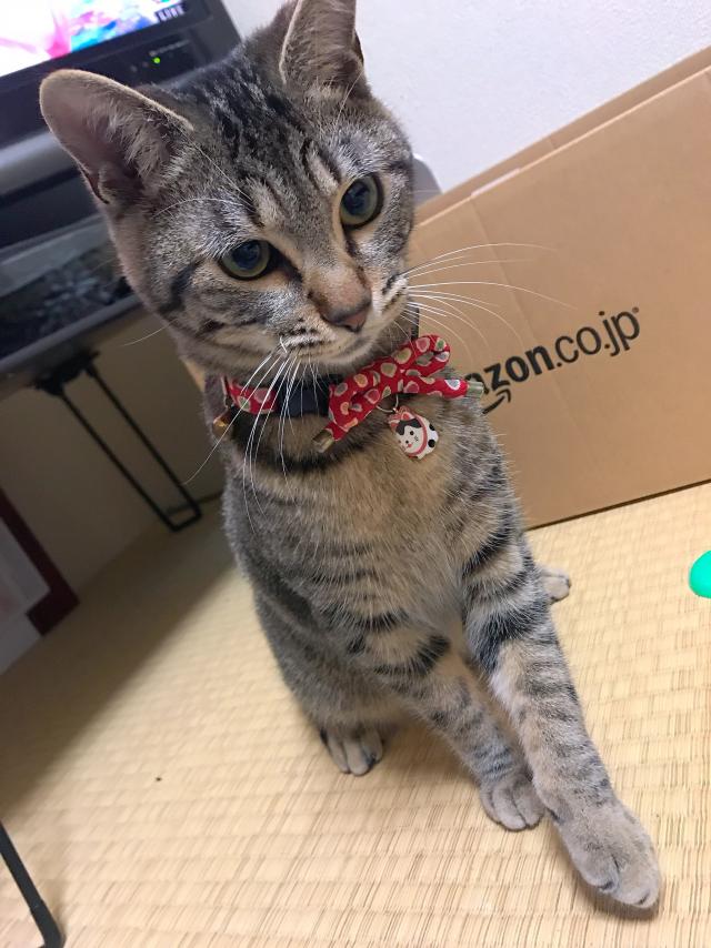 りん