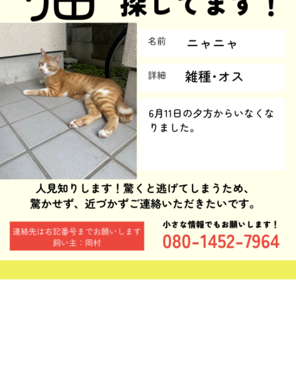 ニャニャ