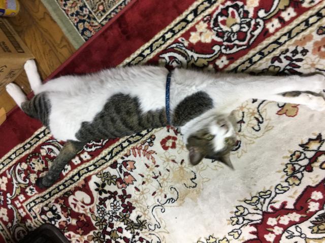 ちたろう