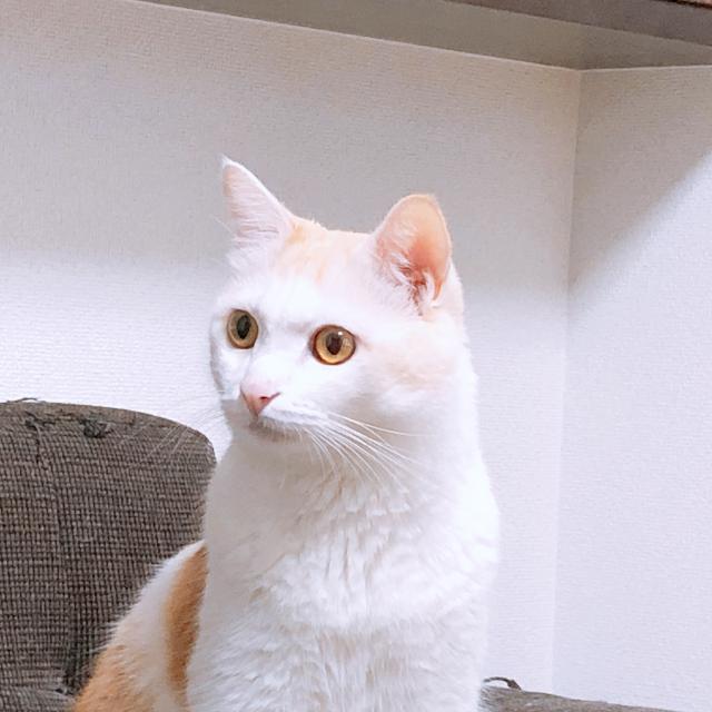 さだはる