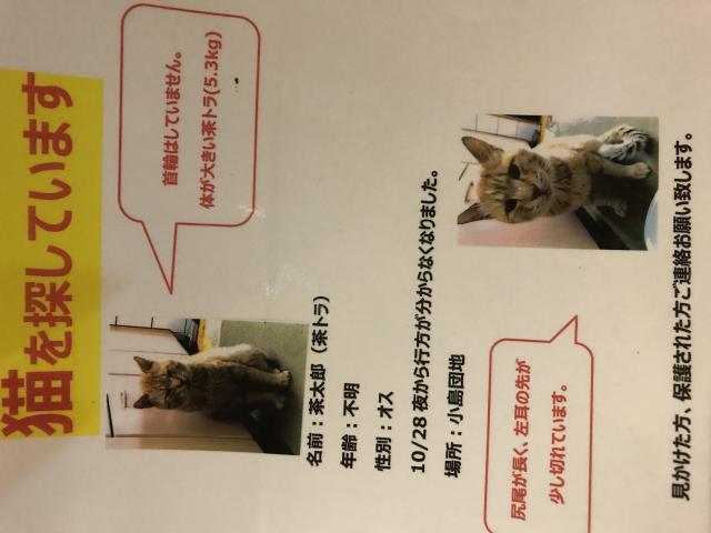 茶太郎