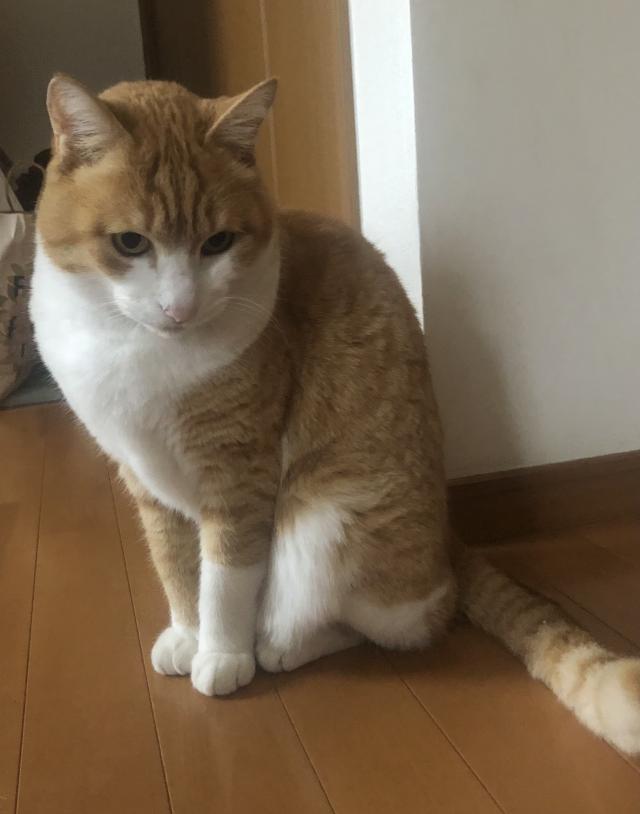 つくね