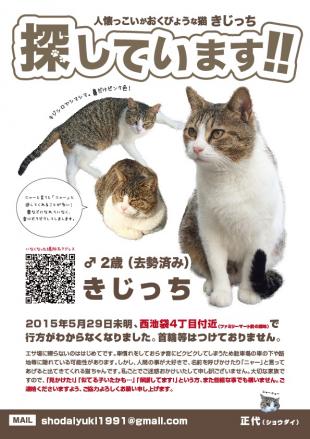 きじっち