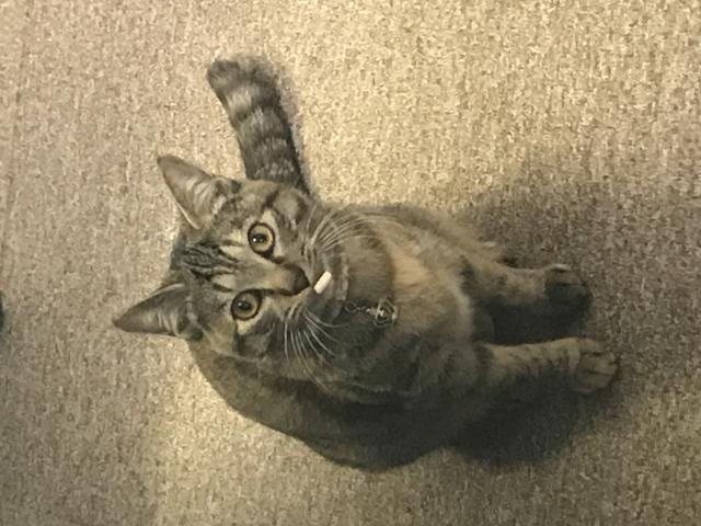 るな