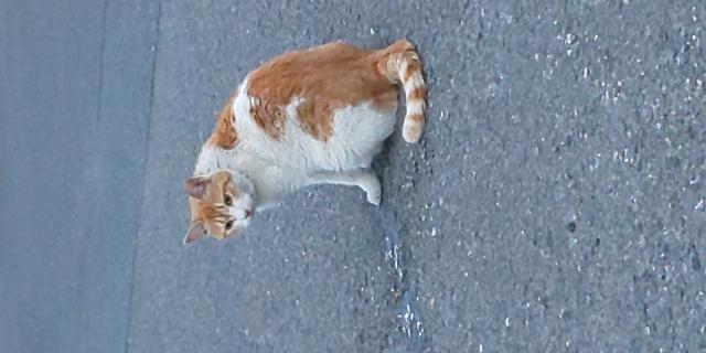 ポエム
