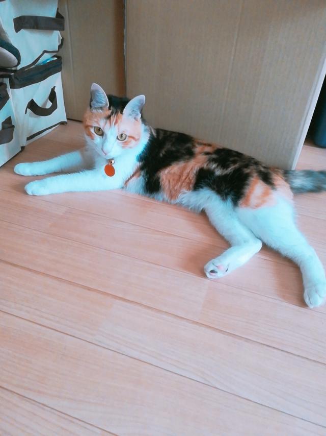 リン