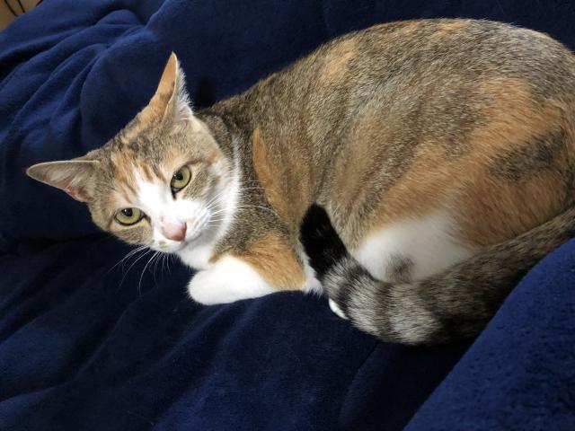 エマ