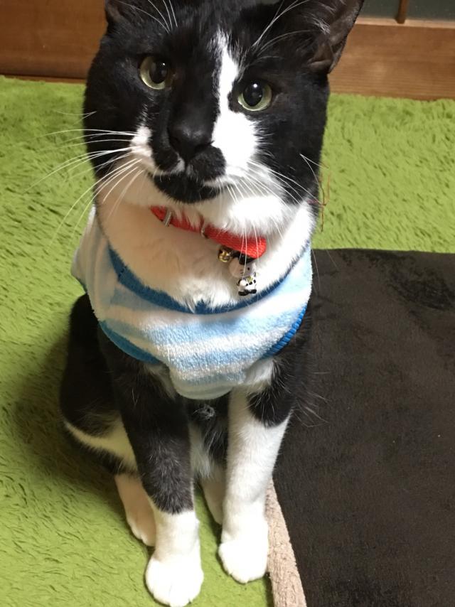 くう