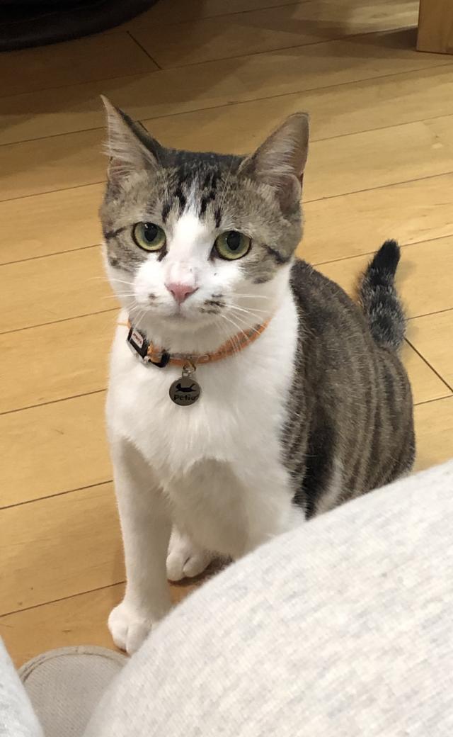 リン