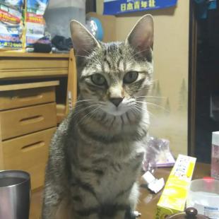 りん