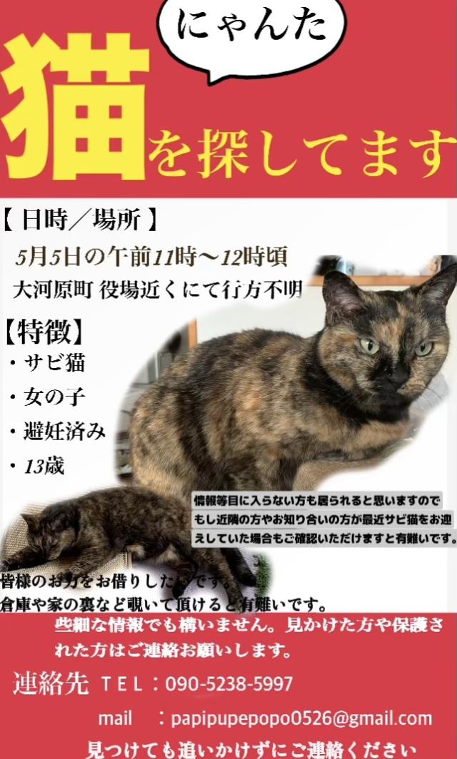 にゃんた