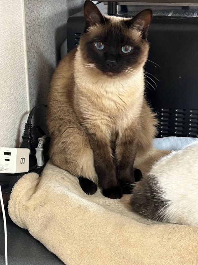 ムーコ