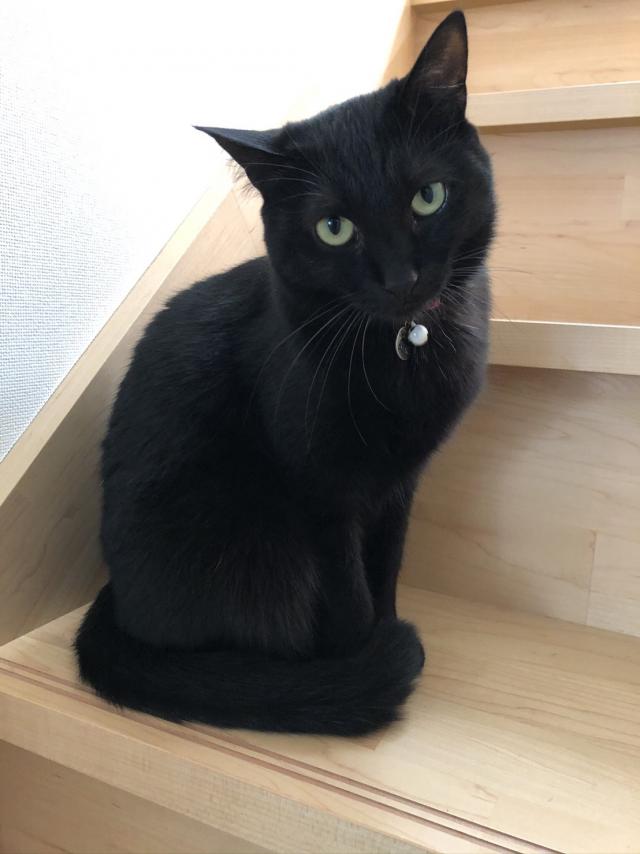 クロエ