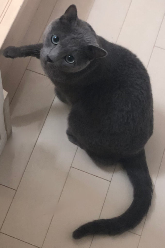 ロム