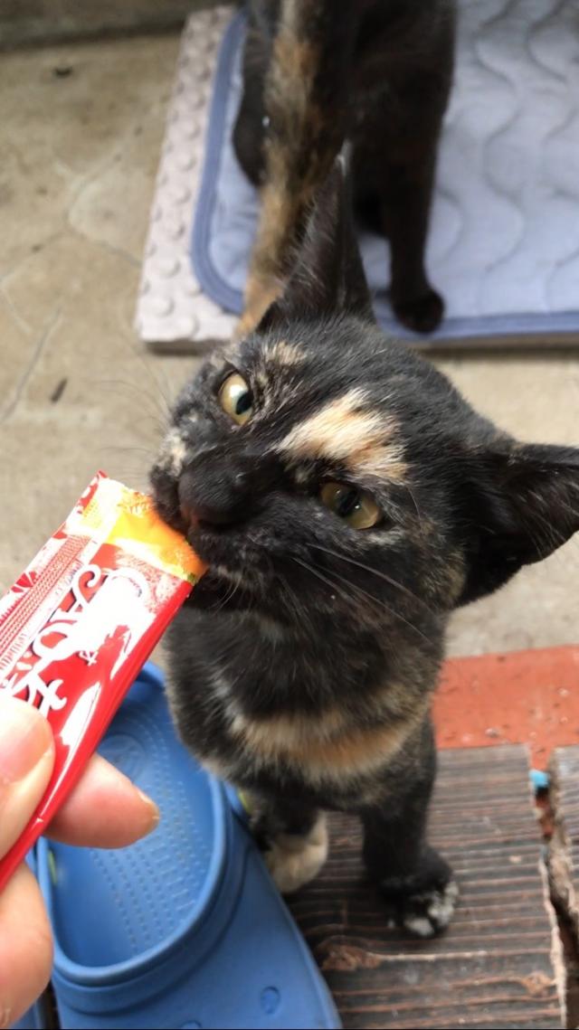 ビビ