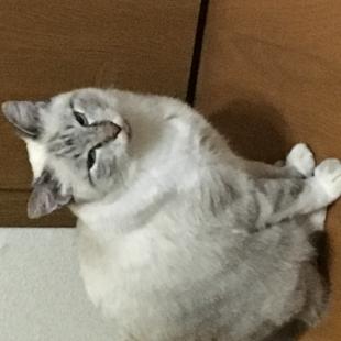 ハナ