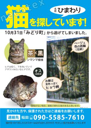 ひまわり