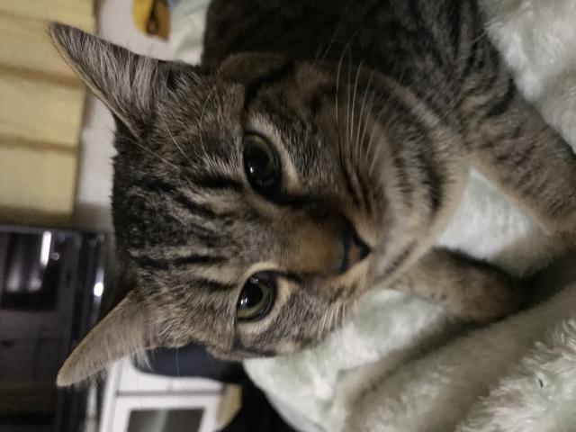 ジュン