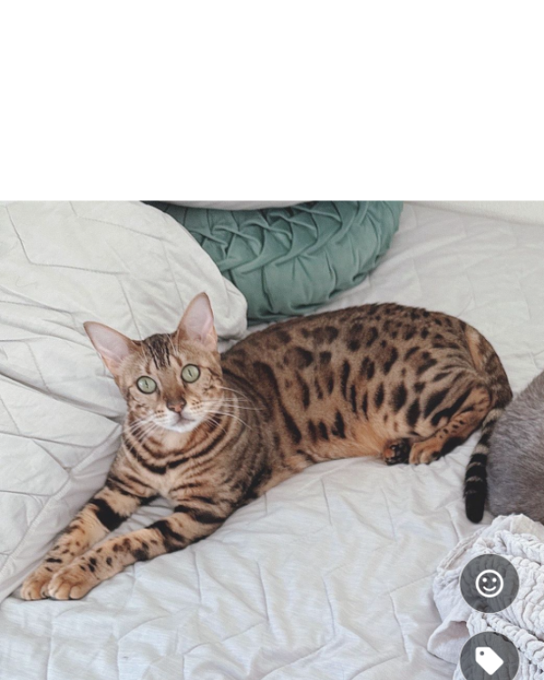 ルナ