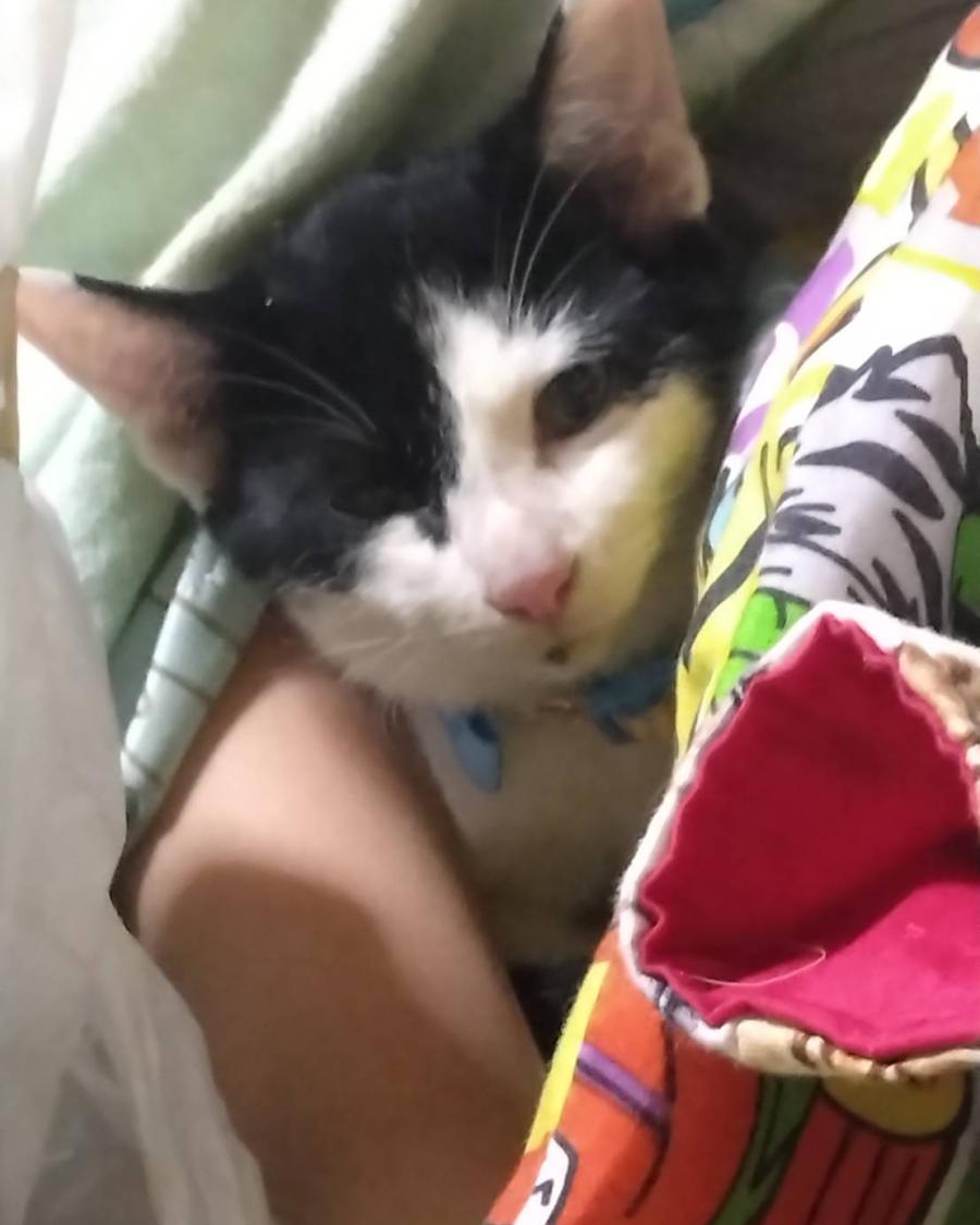 めいちゃん