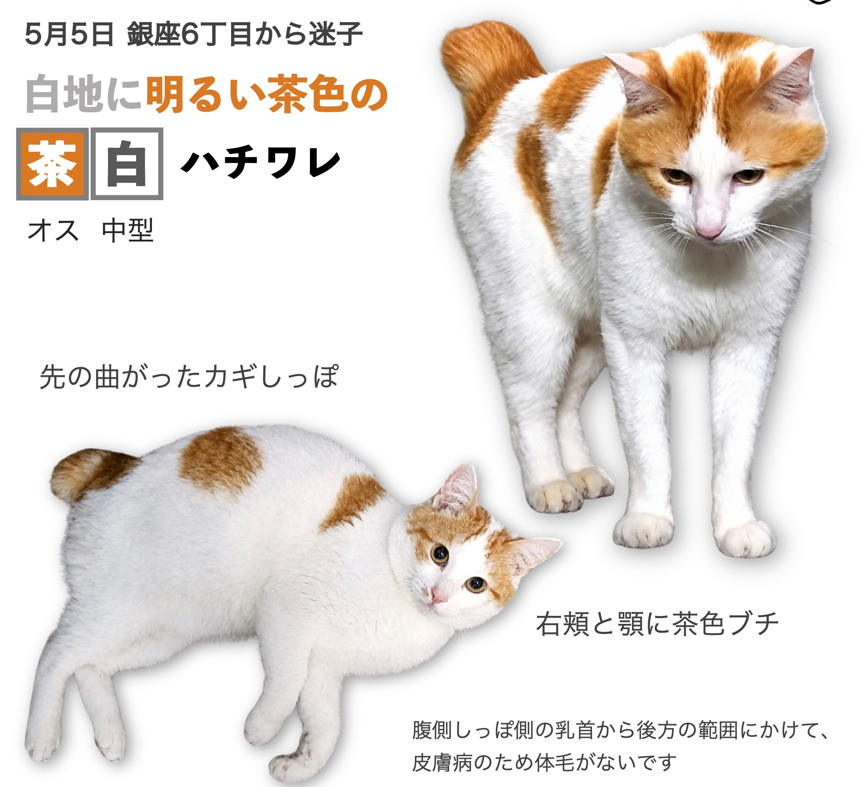 ちくわ
