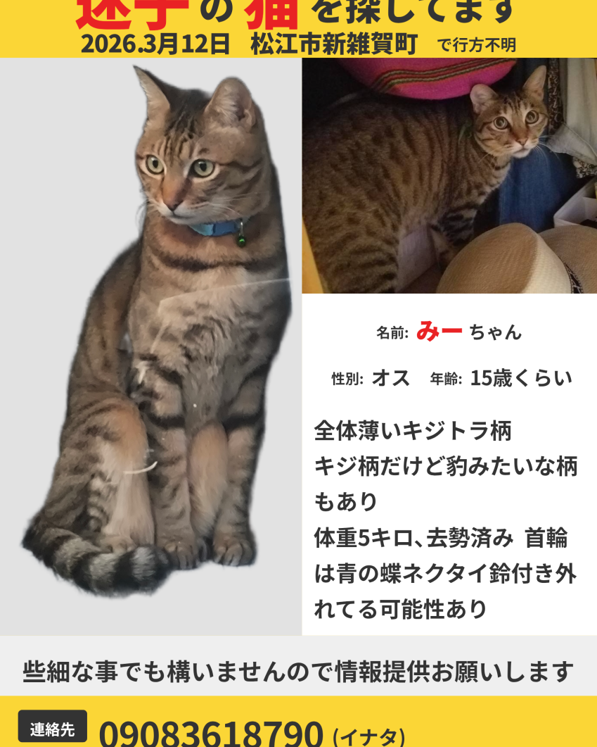 みーちゃん