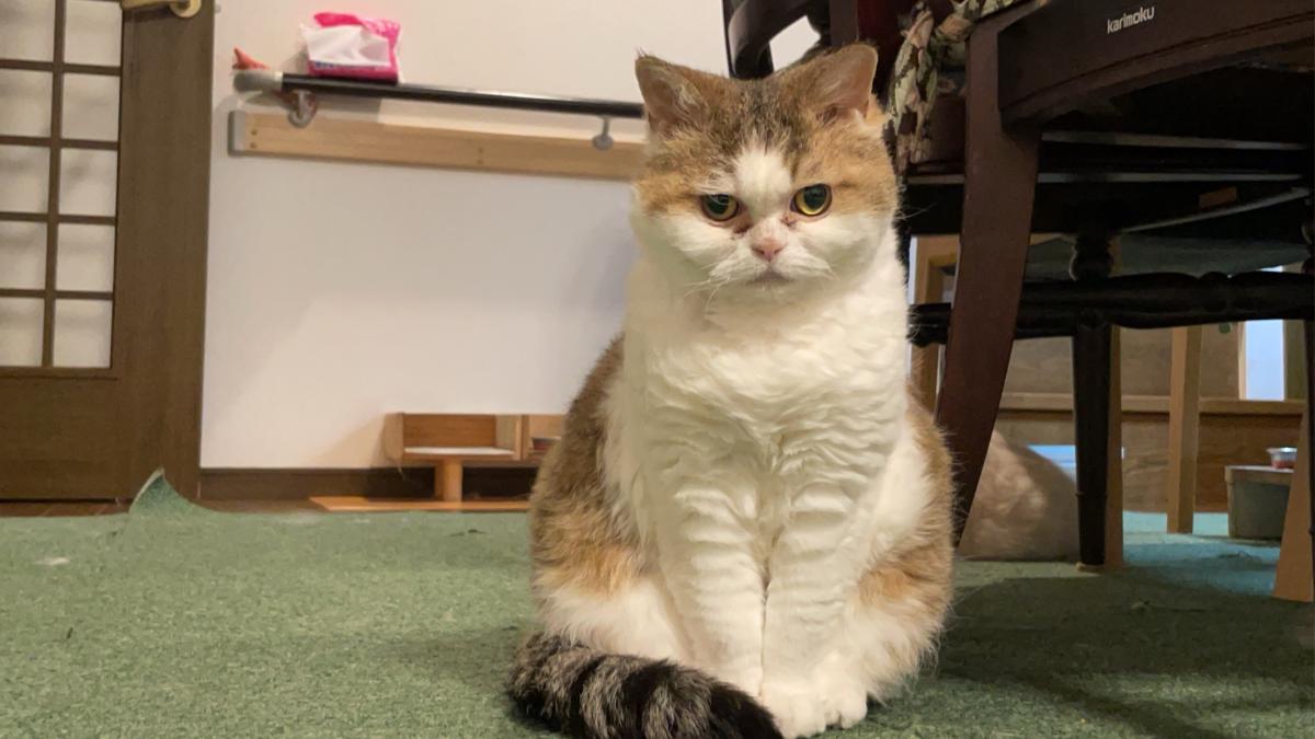 フラン