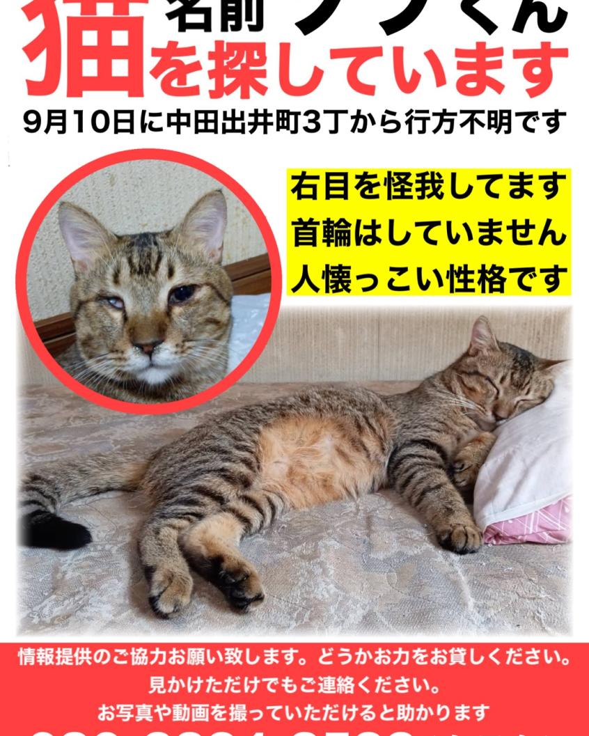 そら