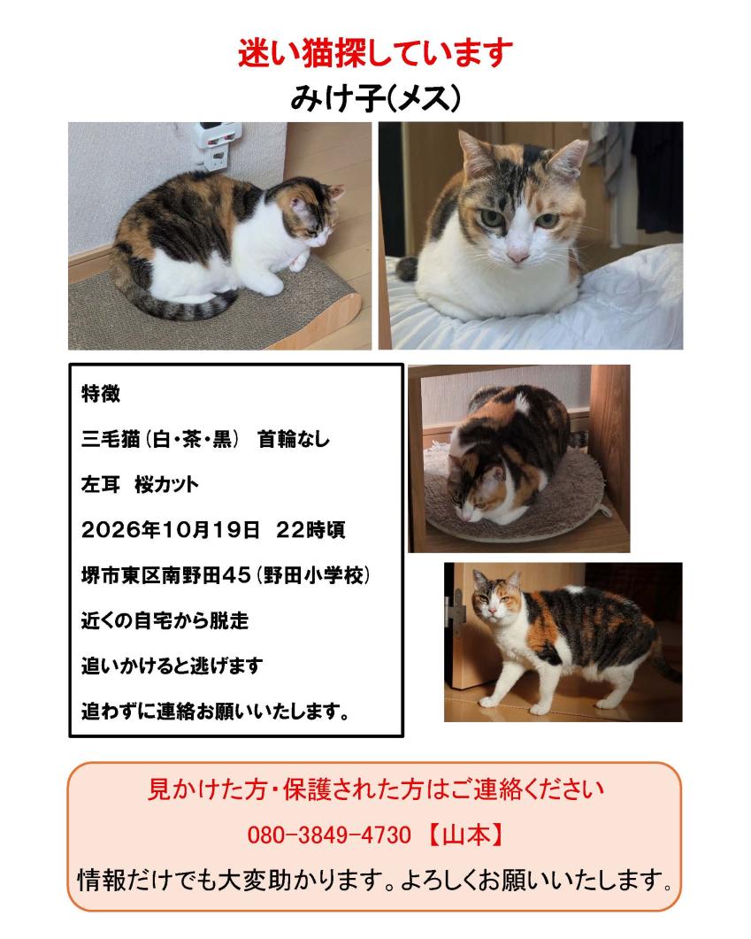 ミケ子