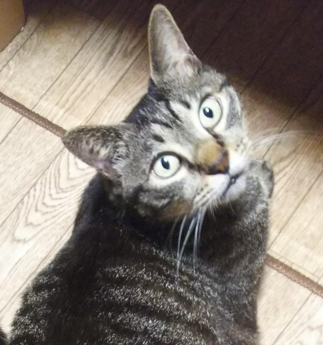 ちゃこ
