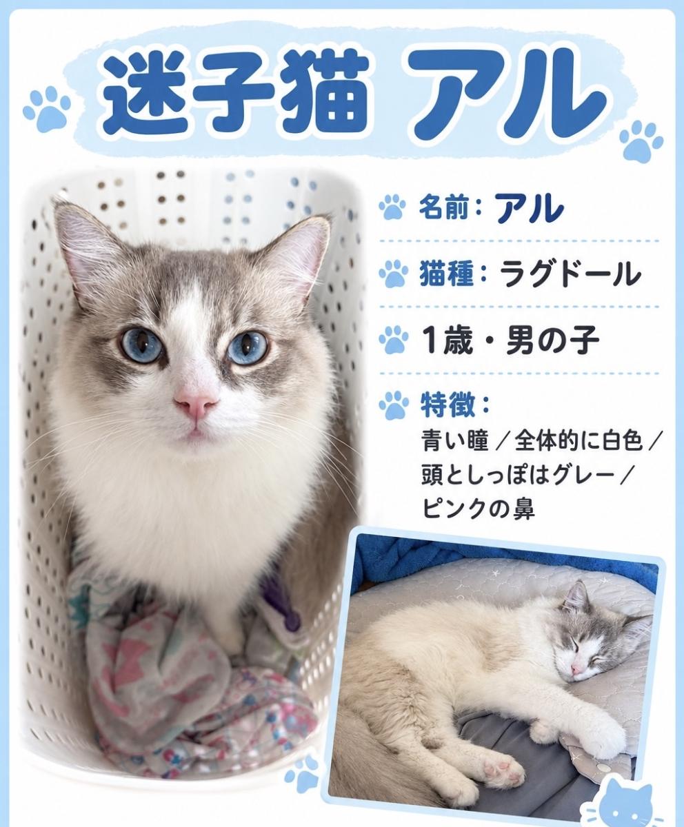 ゆら