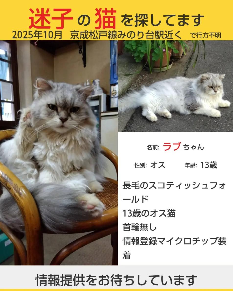 ラブ