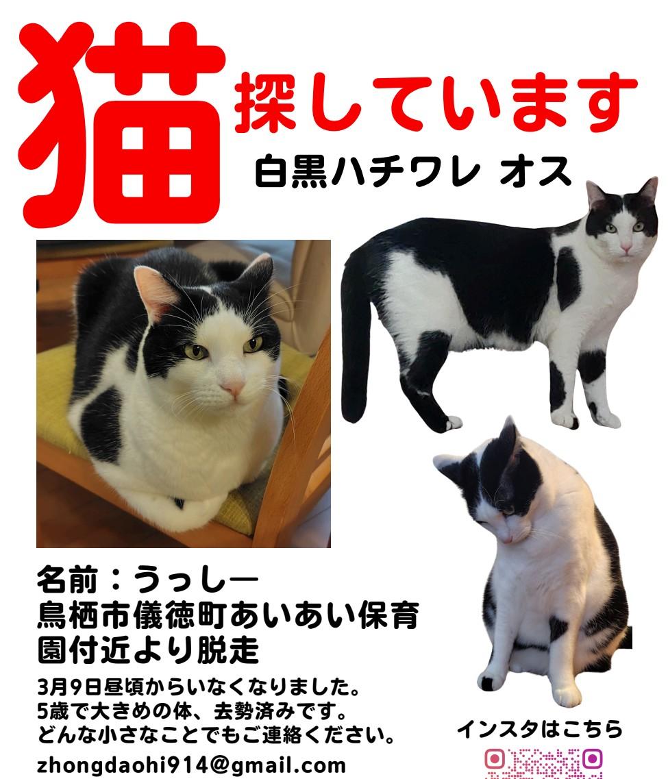 うっしー